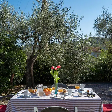 Casa Ai Campi-3 By Interhome Apartment *